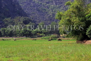 Vietnam, Ninh Binh, HOA LU, countryside, scenery and fields, VT2044JPL
