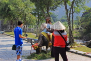 Vietnam, Ninh Binh, HOA LU, tourist posing with buffalo for photos, VT2038JPL