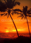 Virgin Islands (US), ST THOMAS, Magens Bay, sunset and coconut palms, CAR1233JPL