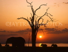 ZIMBABWE, Lake Kariba, Elephants and sunset, ZIM38JPL
