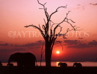 ZIMBABWE, Lake Kariba, Elephants and sunset, ZIM38JPLA