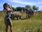 ZIMBABWE, safari, viewing Rhino and Elephant, ZIM26JPL