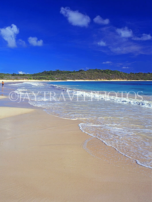 ANTIGUA, Half Moon Bay beach, ANT1327JPL