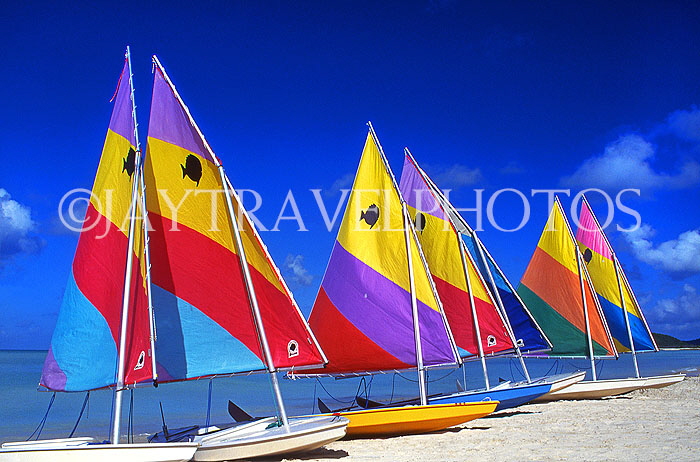ANTIGUA, West Coast, row of sailboats lined up along beach, ANT760JPL