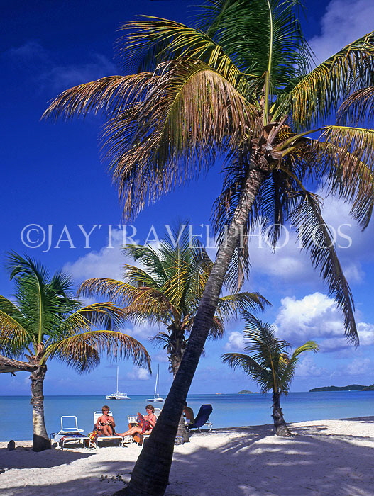 ANTIGUA, West coast, beach scene with tourists and coconut trees, ANT698JPL