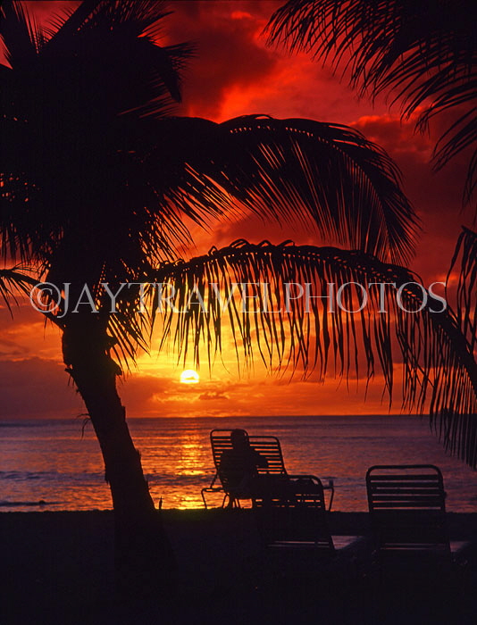 ANTIGUA, sunset and sea view, coconut trees in silhouette, ANT727JPL