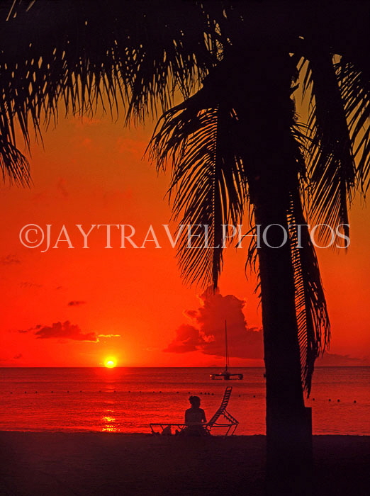 ANTIGUA, sunset with coconut tree and holidaymaker in silhouette, ANT731JPL