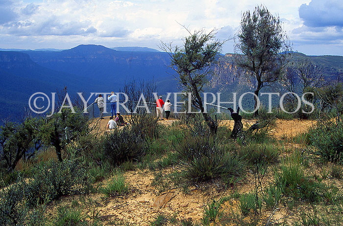AUSTRALIA, New South Wales, Blue Mountains Nat Park, Jamison Valley, Evans Lookout, AUS701JPL