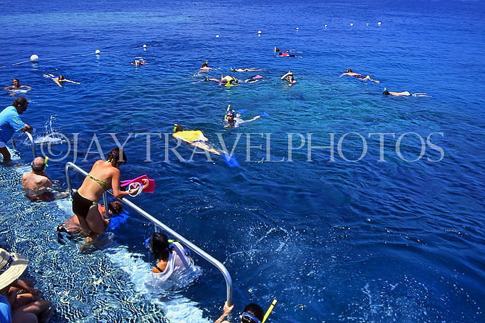 AUSTRALIA, Queensland, CAIRNS, Great Barrier Reef, snorkelling, AUS53JPL