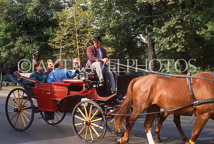 Austria, VIENNA, tourists on horse drawn cab ride, VIE389JPL