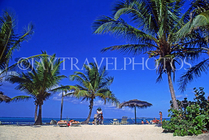 BAHAMAS, New Providence Island, Cable Beach and palm trees, BAH489JPL
