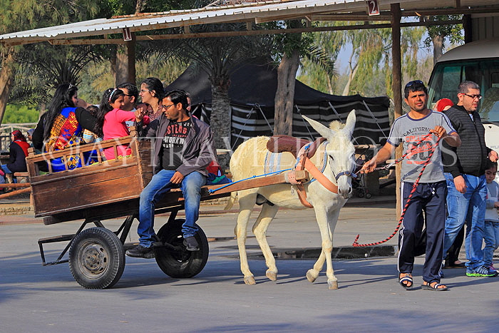 BAHRAIN, Al Areen Wildlife Park, sightseeing by mule drawn cart, BHR1650JPL