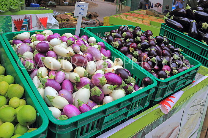 BAHRAIN, Budaiya, Farmers' Market, Aubergines, BHR2028JPL