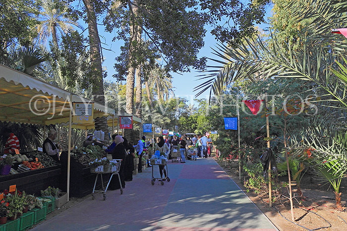 BAHRAIN, Budaiya, Farmers' Market, BHR1026JPL