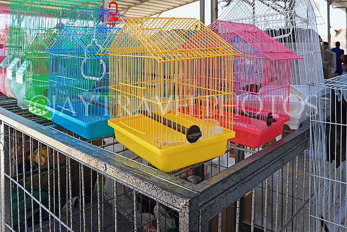 BAHRAIN, Isa Town Market (souk), flea market, bird market, cages for sale, BHR469JPL