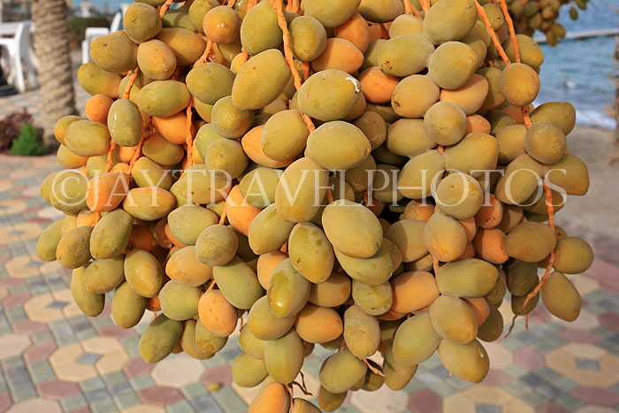 BAHRAIN, Manama, Date palm tree, fruit, BHR228JPL