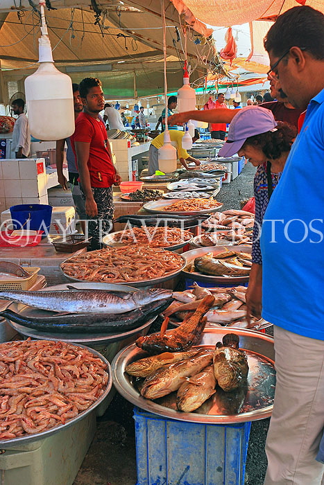BAHRAIN, Muharraq, Hidd Fish Market, BHR2338JPL