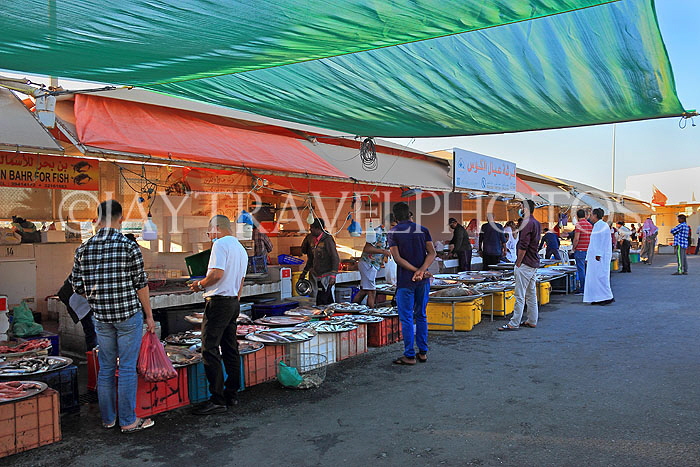 BAHRAIN, Muharraq, Hidd Fish Market, BHR2365JPL