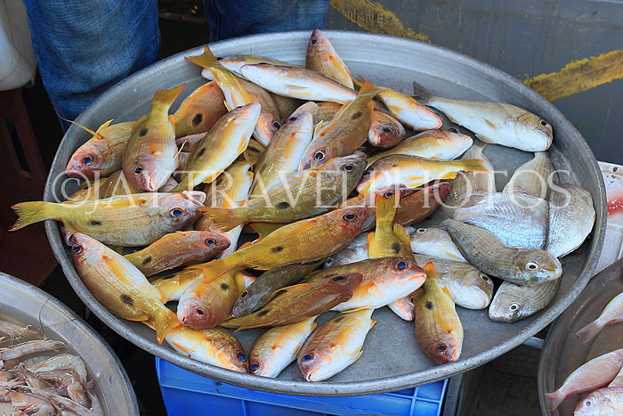 BAHRAIN, Muharraq, Hidd Fish Market, BHR2388JPL