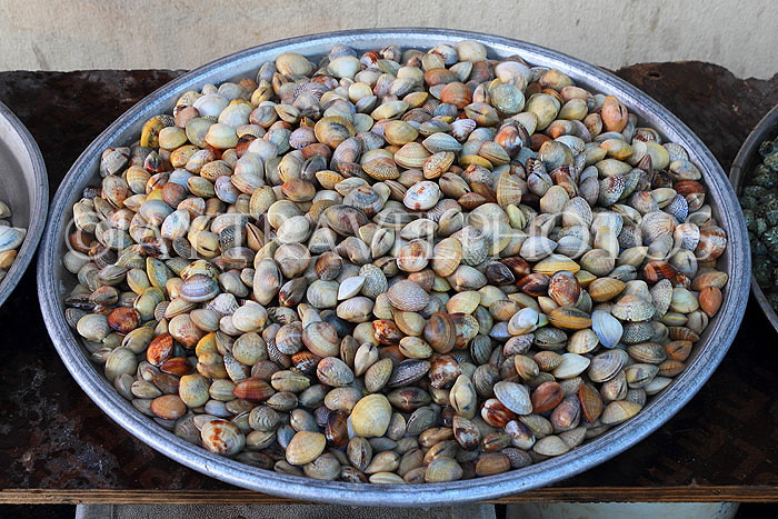 BAHRAIN, Muharraq, Hidd Fish Market, Clams, BHR2381JPL