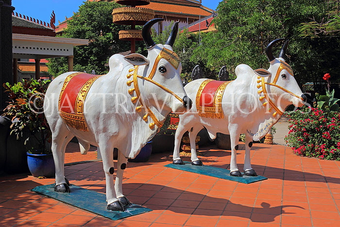 CAMBODIA, Siem Reap, Wat Preah Prom Rath, temple site, white Oxen sculptures, CAM2195JPL