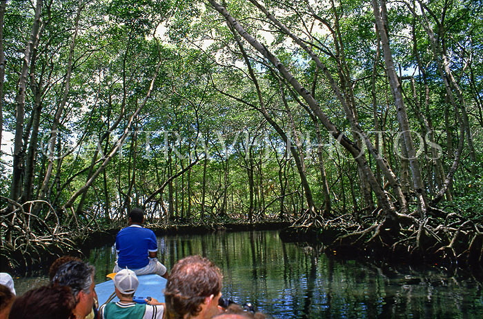 DOMINICAN REPUBLIC, North Coast, Rio San Juan, sightseeing boat trip at Gri Gri Lagoon, DR215JPL