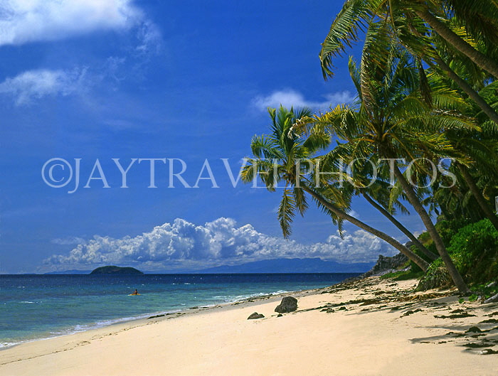 FIJI, Mamanuca Islands, Matamanoa Island, beach and coconut trees, FIJ660JPL
