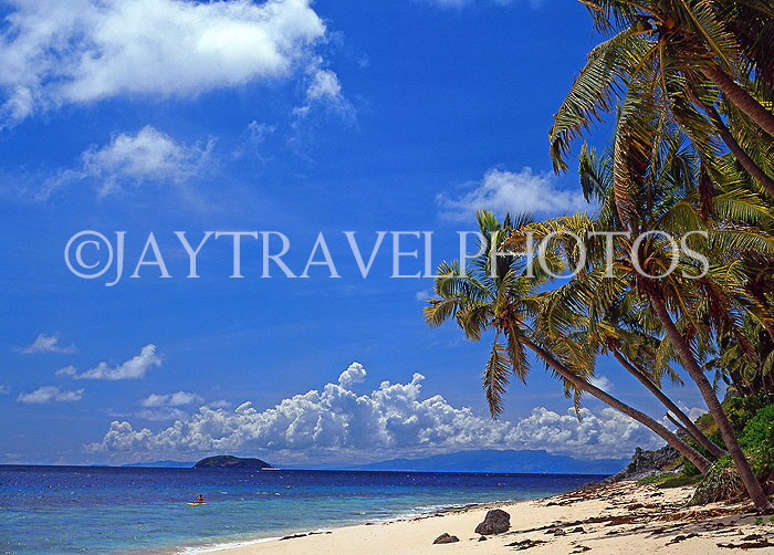 FIJI, Mamanuca Islands, Matamanoa Island, beach and coconut trees, FIJ792JPL