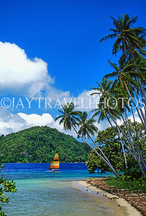 FIJI, Taveuni, Matagi (Matangi) Island, seascape, sailboat and coconut trees, FIJ964JPL
