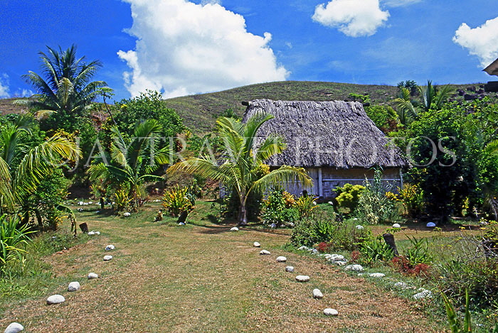 FIJI, Viti Levu Island, traditional Bure (Fijian house) with thatched roof, FIJ779JPL