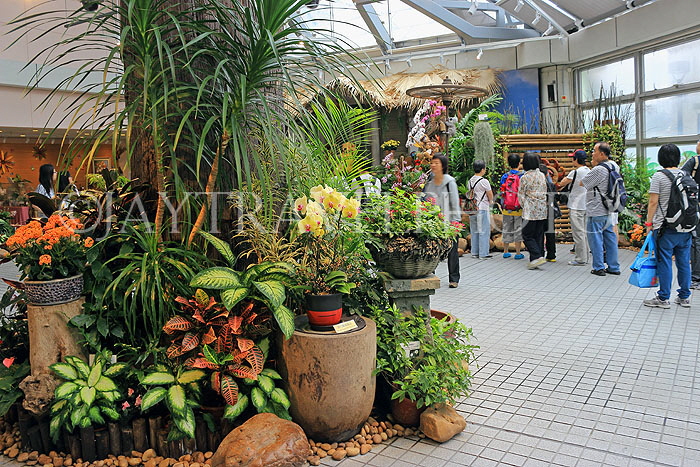 HONG KONG, Hong Kong Island, Hong Kong Park, Conservatory, HK1330JPL