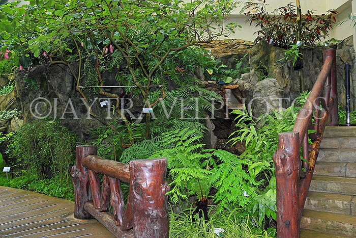 HONG KONG, Hong Kong Island, Hong Kong Park, Conservatory, Humid Plant House, HK1326JPL
