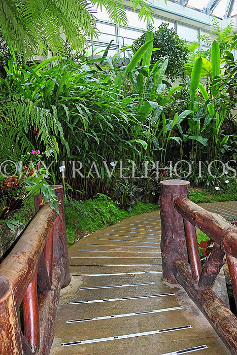 HONG KONG, Hong Kong Island, Hong Kong Park, Conservatory, Humid Plant House, HK1327JPL