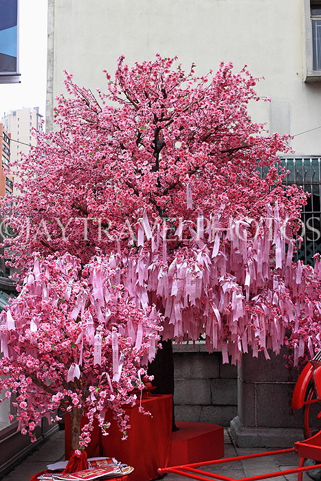 HONG KONG, Hong Kong Island, Man Mo Temple, po dip wishing tree, HK2433JPL
