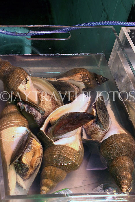 HONG KONG, Hong Kong Island, Sheung Wan Market, wet market, seafood, HK2003JPL