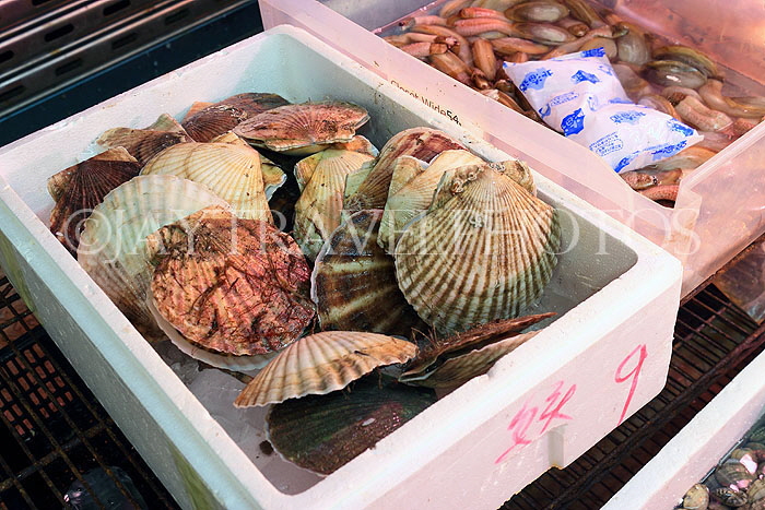 HONG KONG, Hong Kong Island, Sheung Wan Market, wet market, seafood, HK2004JPL