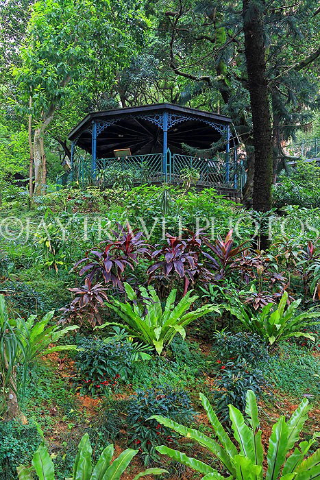 HONG KONG, Hong Kong Island, Zoological & Botanical Gardens, HK1754JPL