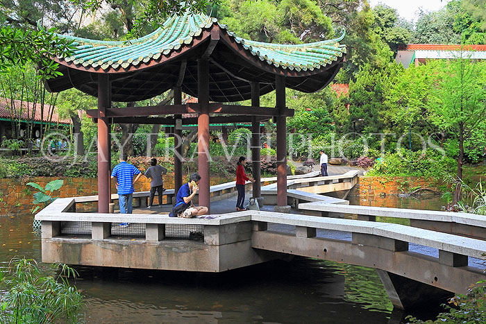 HONG KONG, Kowloon, Kowloon Park, Chinese Garden and pavilion, HK1663JPL