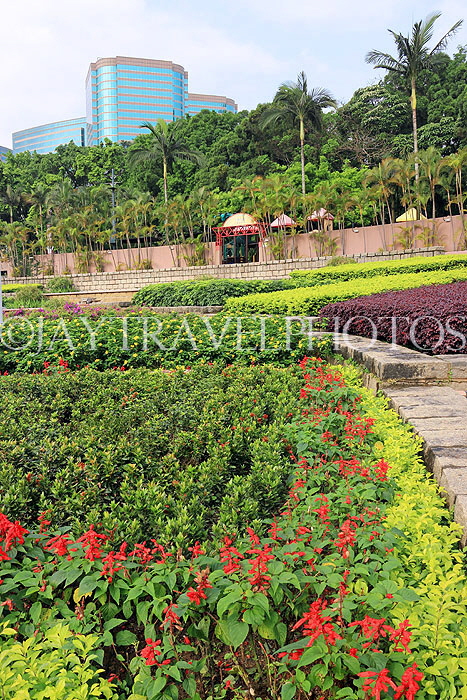 HONG KONG, Kowloon, Kowloon Park, HK1653JPL