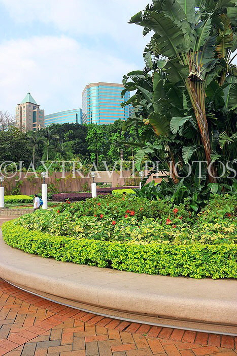 HONG KONG, Kowloon, Kowloon Park, HK1654JPL