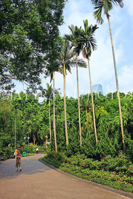 HONG KONG, Kowloon, Kowloon Park, HK1655JPL