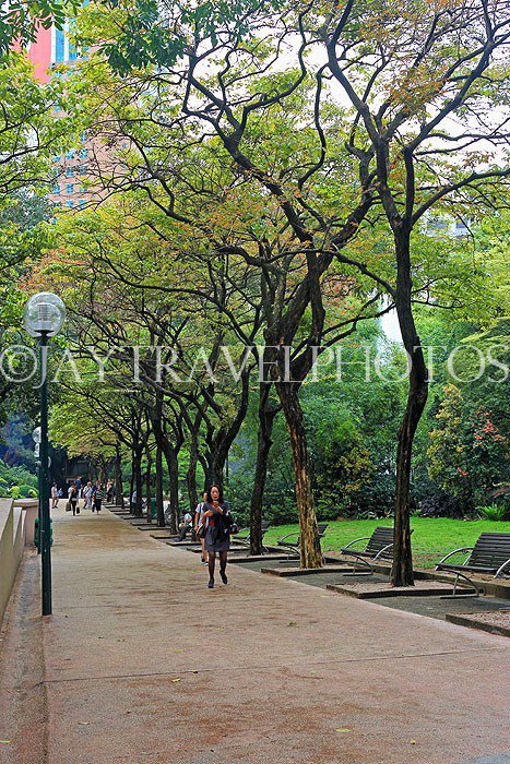 HONG KONG, Kowloon, Kowloon Park, HK1656JPL
