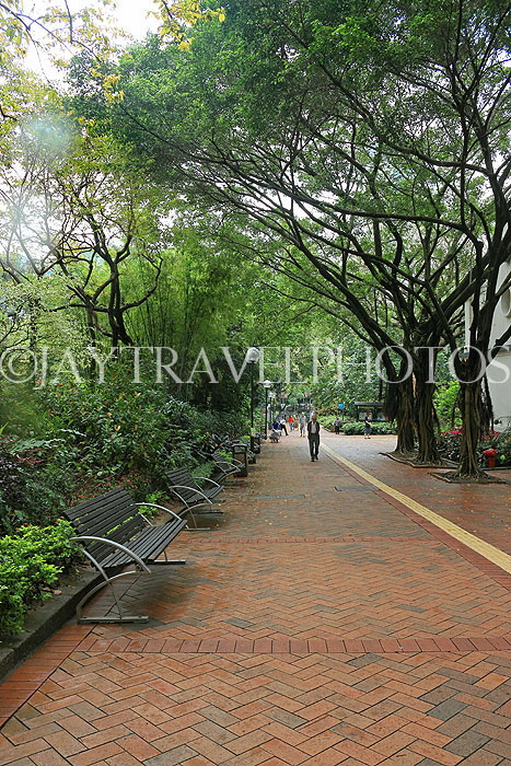 HONG KONG, Kowloon, Kowloon Park, HK1658JPL
