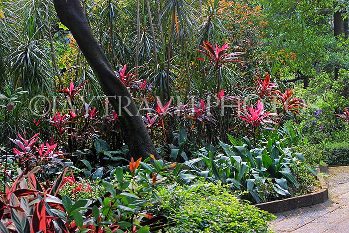 HONG KONG, Kowloon, Kowloon Park, HK1660JPL