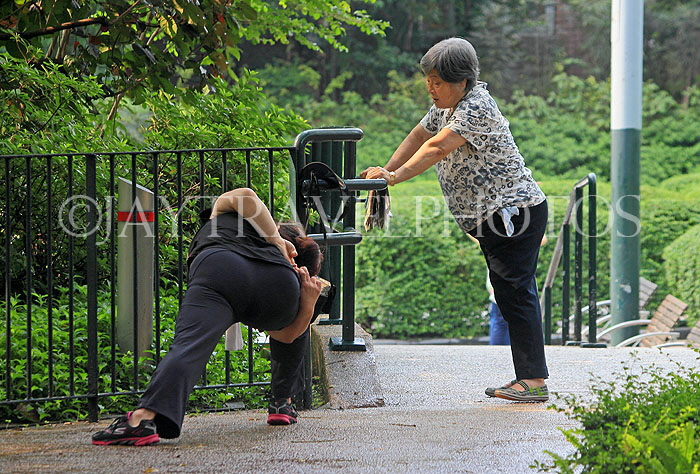 HONG KONG, Kowloon, Kowloon Park, people practicing Tai Chi, HK1703JPL