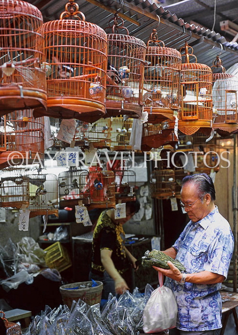 HONG KONG, Kowloon, Mong Kok, Yuen Po Street Bird Market, HK294JPL