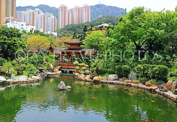 HONG KONG, Kowloon, Nan Lian Garden, Blue Pond and Pavilion Bridge, HK1029JPL