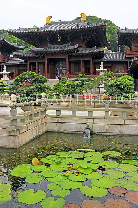 HONG KONG, Kowloon, Nan Lian Garden, Chi Lin Nunnery, Hall of Celestial Kings & Lotus Garden, HK1041JPL