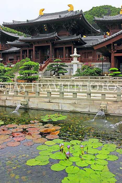HONG KONG, Kowloon, Nan Lian Garden, Chi Lin Nunnery, Hall of Celestial Kings & Lotus Garden, HK1042JPL