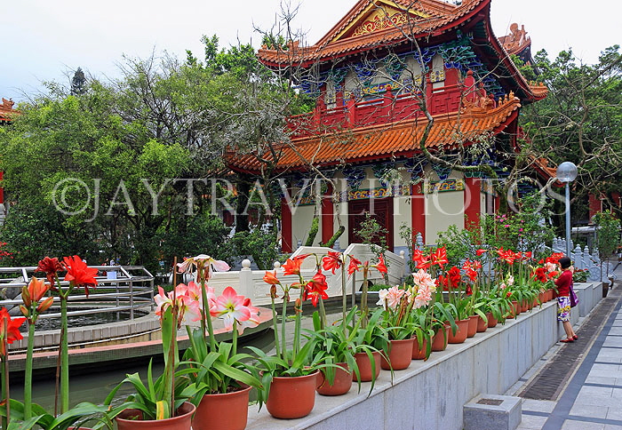 HONG KONG, Lantau Island, Po Lin Monastery, HK781JPL